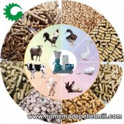 Pellet Making Machine Helps Your Make Good Use Of Agricultural Waste